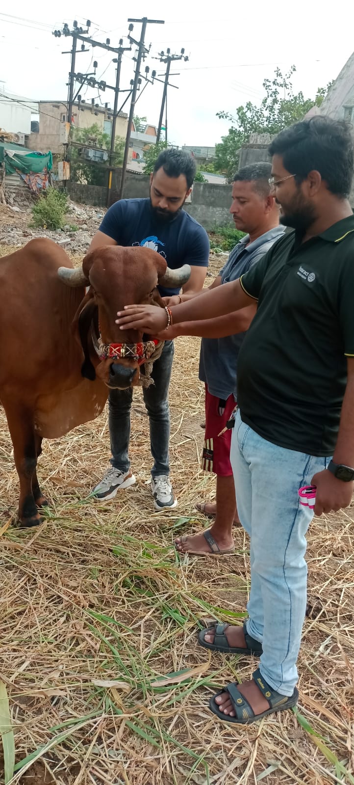 birthday celebration